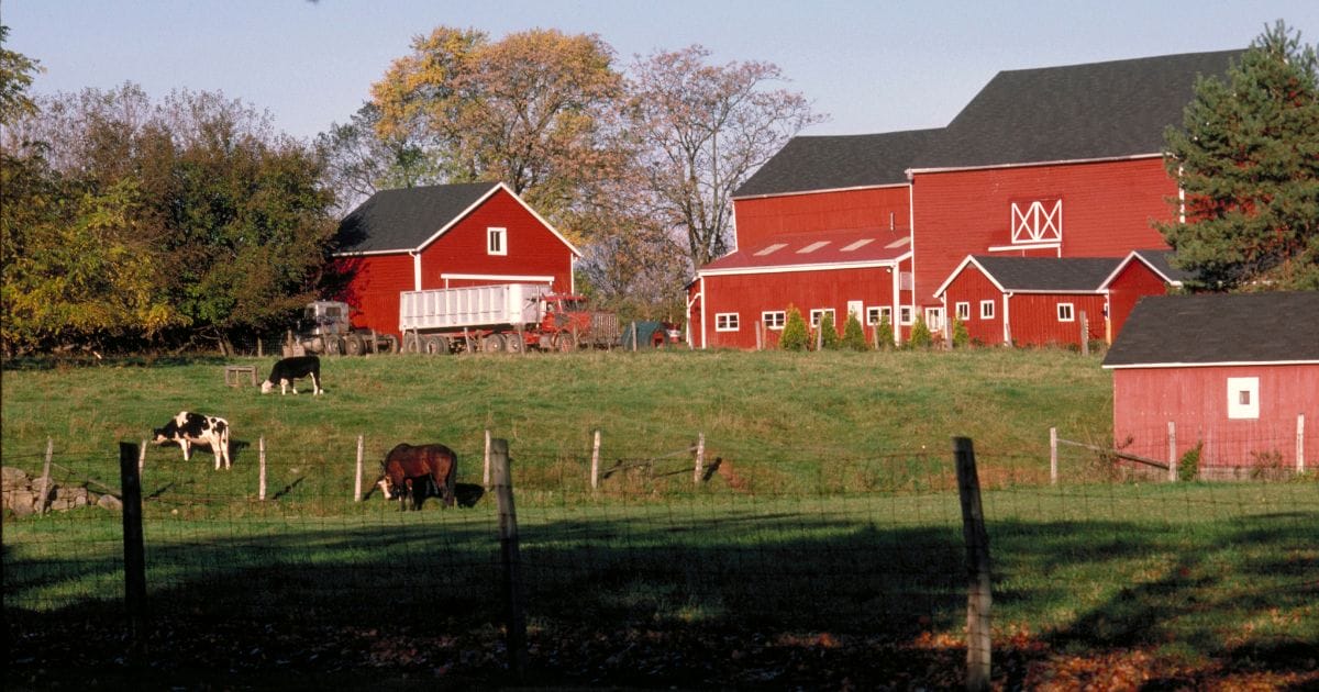 Licensing, Permits and Regulations