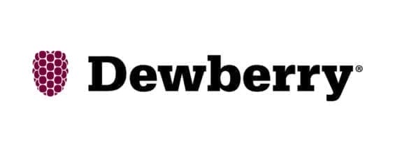 Dewberry Engineers, Inc. logo