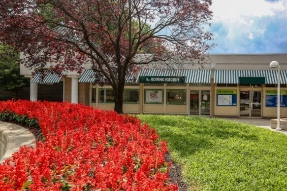 Red flowers sprout from a flowerbox on a storefront on a quaint downtown street.